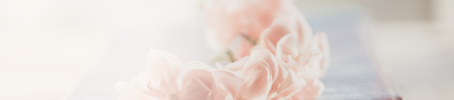 Blommor i mjuka rosa och vita nyanser mot en suddig bakgrund.